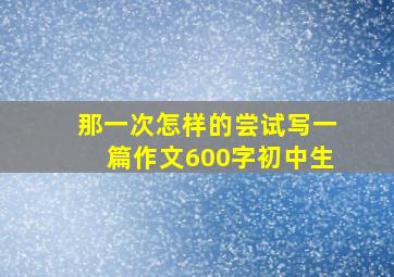 那一次怎样的尝试写一篇作文600字初中生