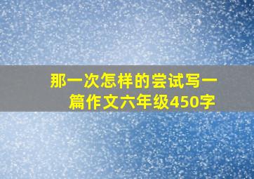 那一次怎样的尝试写一篇作文六年级450字