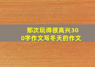 那次玩得很高兴300字作文写冬天的作文