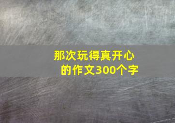 那次玩得真开心的作文300个字