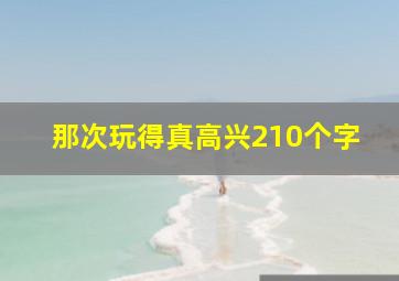 那次玩得真高兴210个字