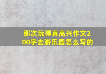 那次玩得真高兴作文200字去游乐园怎么写的