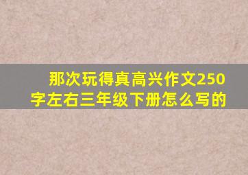 那次玩得真高兴作文250字左右三年级下册怎么写的