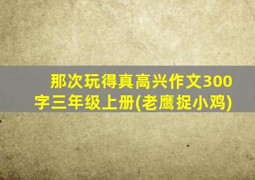 那次玩得真高兴作文300字三年级上册(老鹰捉小鸡)