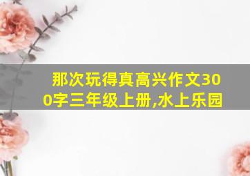 那次玩得真高兴作文300字三年级上册,水上乐园