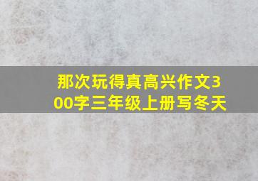 那次玩得真高兴作文300字三年级上册写冬天