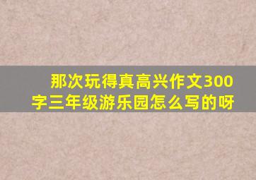 那次玩得真高兴作文300字三年级游乐园怎么写的呀