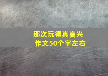 那次玩得真高兴作文50个字左右