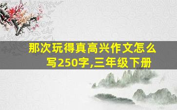 那次玩得真高兴作文怎么写250字,三年级下册