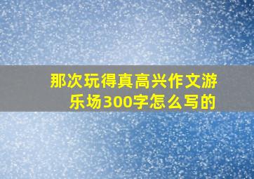 那次玩得真高兴作文游乐场300字怎么写的