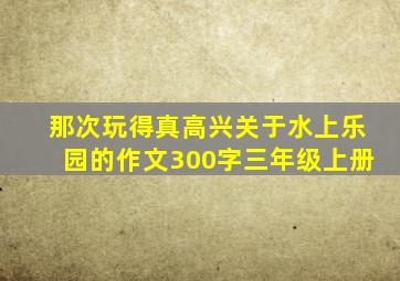 那次玩得真高兴关于水上乐园的作文300字三年级上册