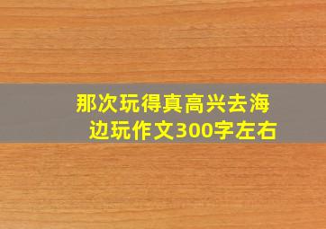 那次玩得真高兴去海边玩作文300字左右