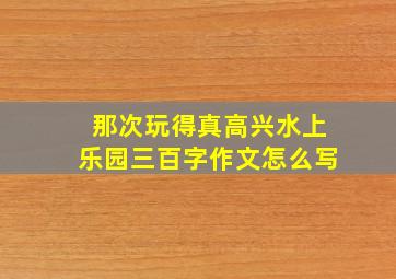 那次玩得真高兴水上乐园三百字作文怎么写