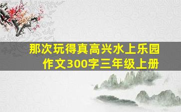 那次玩得真高兴水上乐园作文300字三年级上册