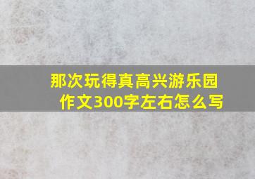 那次玩得真高兴游乐园作文300字左右怎么写