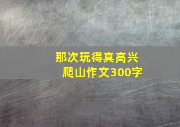 那次玩得真高兴爬山作文300字