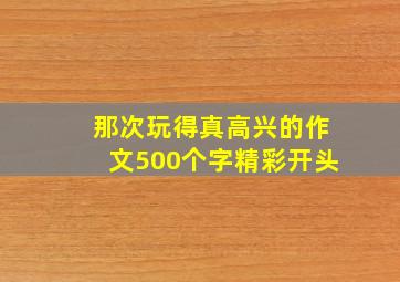 那次玩得真高兴的作文500个字精彩开头