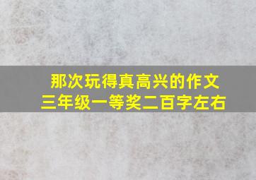 那次玩得真高兴的作文三年级一等奖二百字左右