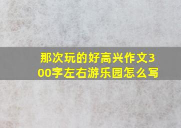 那次玩的好高兴作文300字左右游乐园怎么写