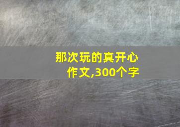 那次玩的真开心作文,300个字