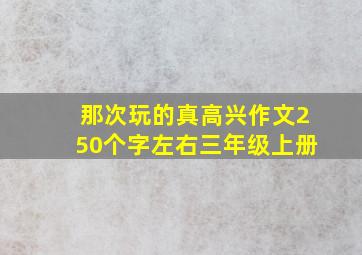 那次玩的真高兴作文250个字左右三年级上册