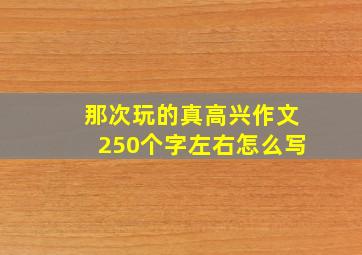 那次玩的真高兴作文250个字左右怎么写