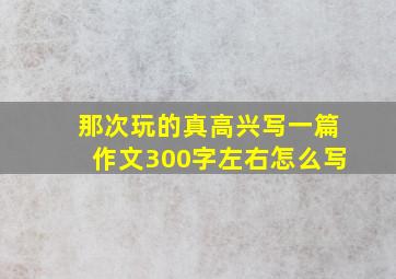 那次玩的真高兴写一篇作文300字左右怎么写