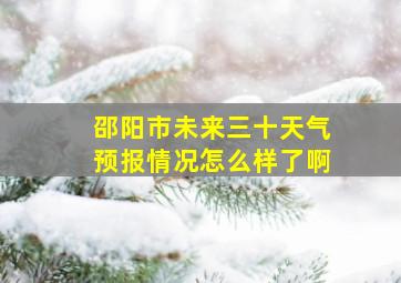 邵阳市未来三十天气预报情况怎么样了啊