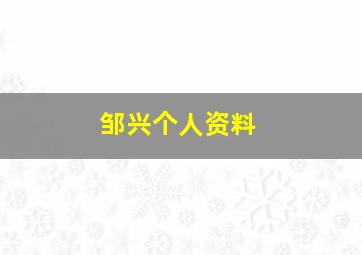 邹兴个人资料