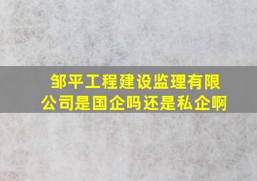 邹平工程建设监理有限公司是国企吗还是私企啊