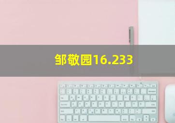 邹敬园16.233