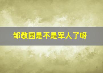 邹敬园是不是军人了呀