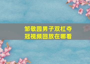 邹敬园男子双杠夺冠视频回放在哪看