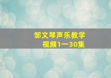 邹文琴声乐教学视频1一30集