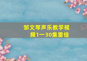 邹文琴声乐教学视频1一30集雷佳