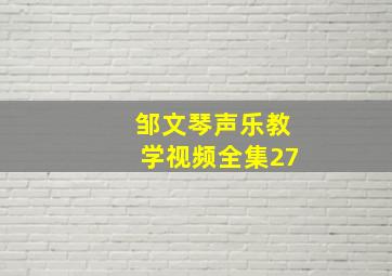 邹文琴声乐教学视频全集27