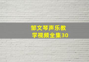 邹文琴声乐教学视频全集30