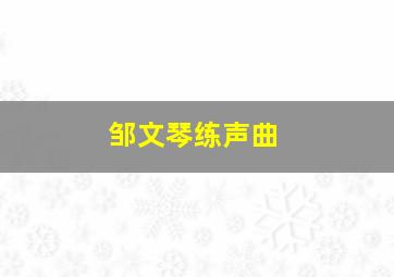 邹文琴练声曲