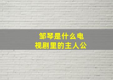 邹琴是什么电视剧里的主人公