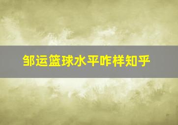 邹运篮球水平咋样知乎