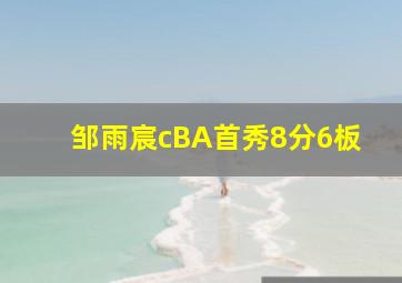 邹雨宸cBA首秀8分6板