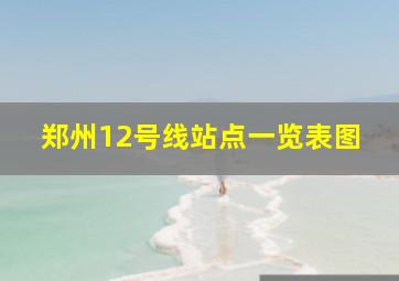 郑州12号线站点一览表图