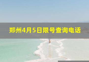 郑州4月5日限号查询电话