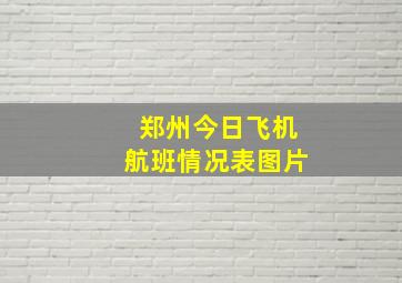 郑州今日飞机航班情况表图片