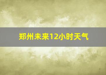 郑州未来12小时天气