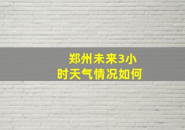 郑州未来3小时天气情况如何