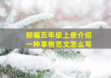 部编五年级上册介绍一种事物范文怎么写