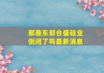 鄯善东部合盛硅业倒闭了吗最新消息