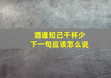 酒逢知己千杯少下一句应该怎么说