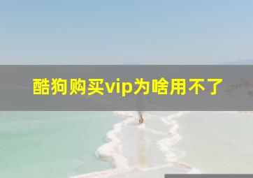 酷狗购买vip为啥用不了